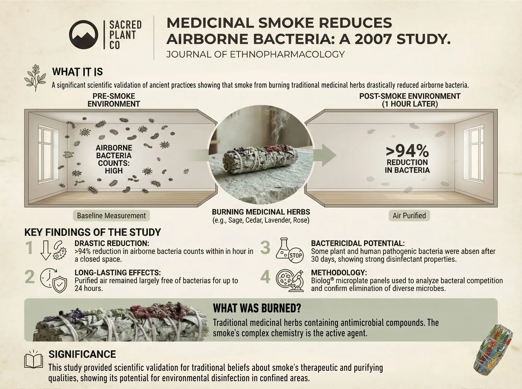Medicinal Smoke Infographic.
