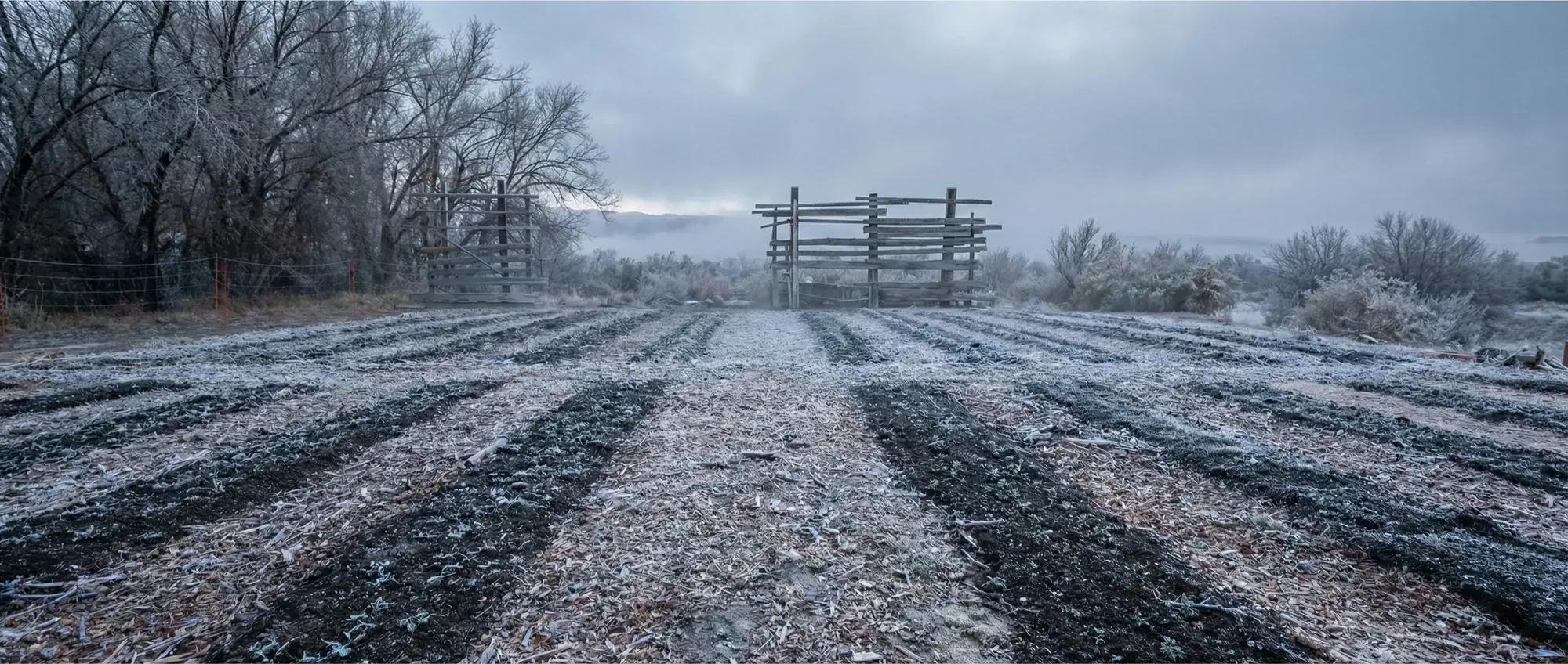 Winter at IM-Possible Farm.
